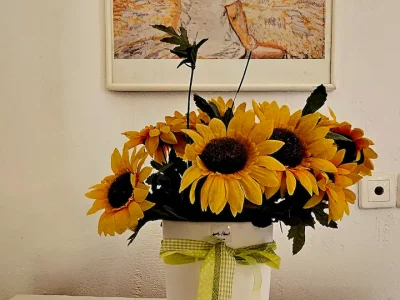 b5d6d52e-d5a1-480f-bdd6-bec387bfcf18